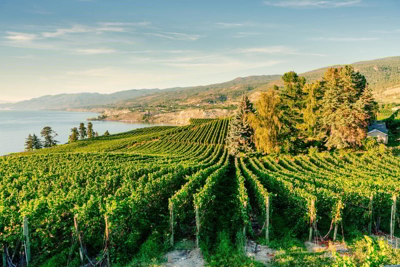 Okanagan Valley