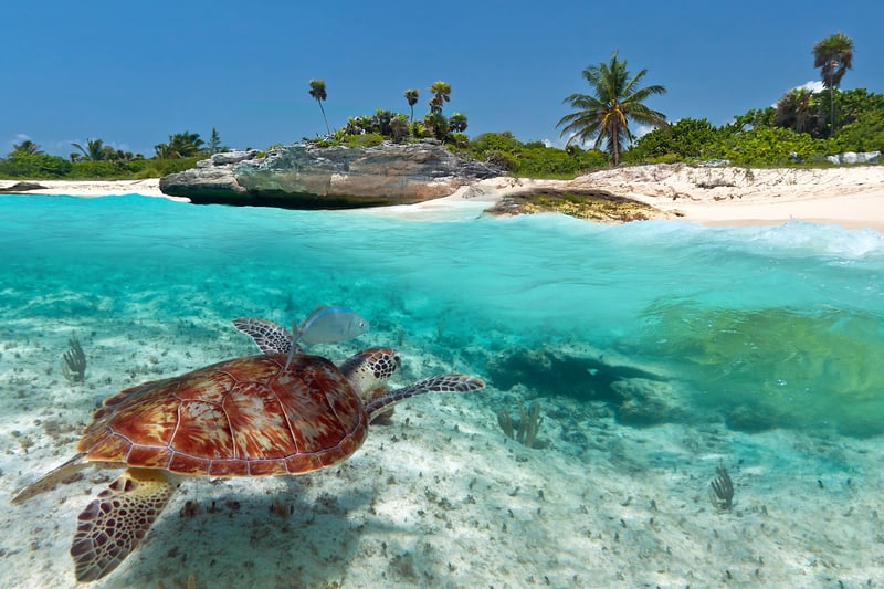 Caribbean beach