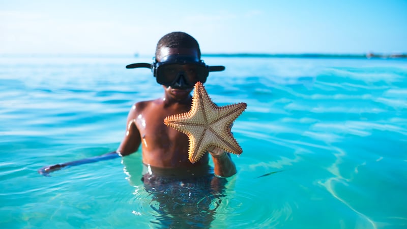 A child holding up a starfish while Worldschooling in the Caribbean Sea