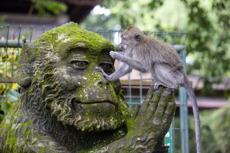 Cruising Southeast Asia: Ubud, Indonesia