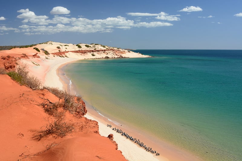 Cruise Australia: Shark Bay