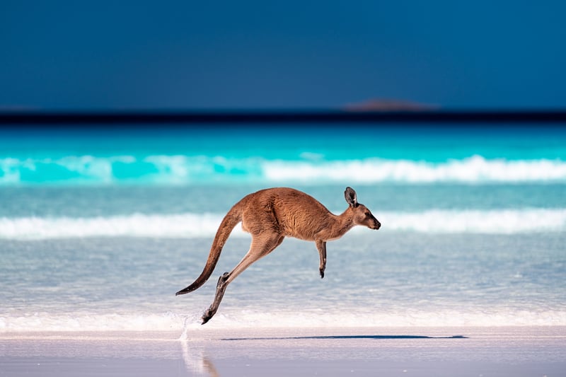 Cruise Australia: Cape Le Grand National Park
