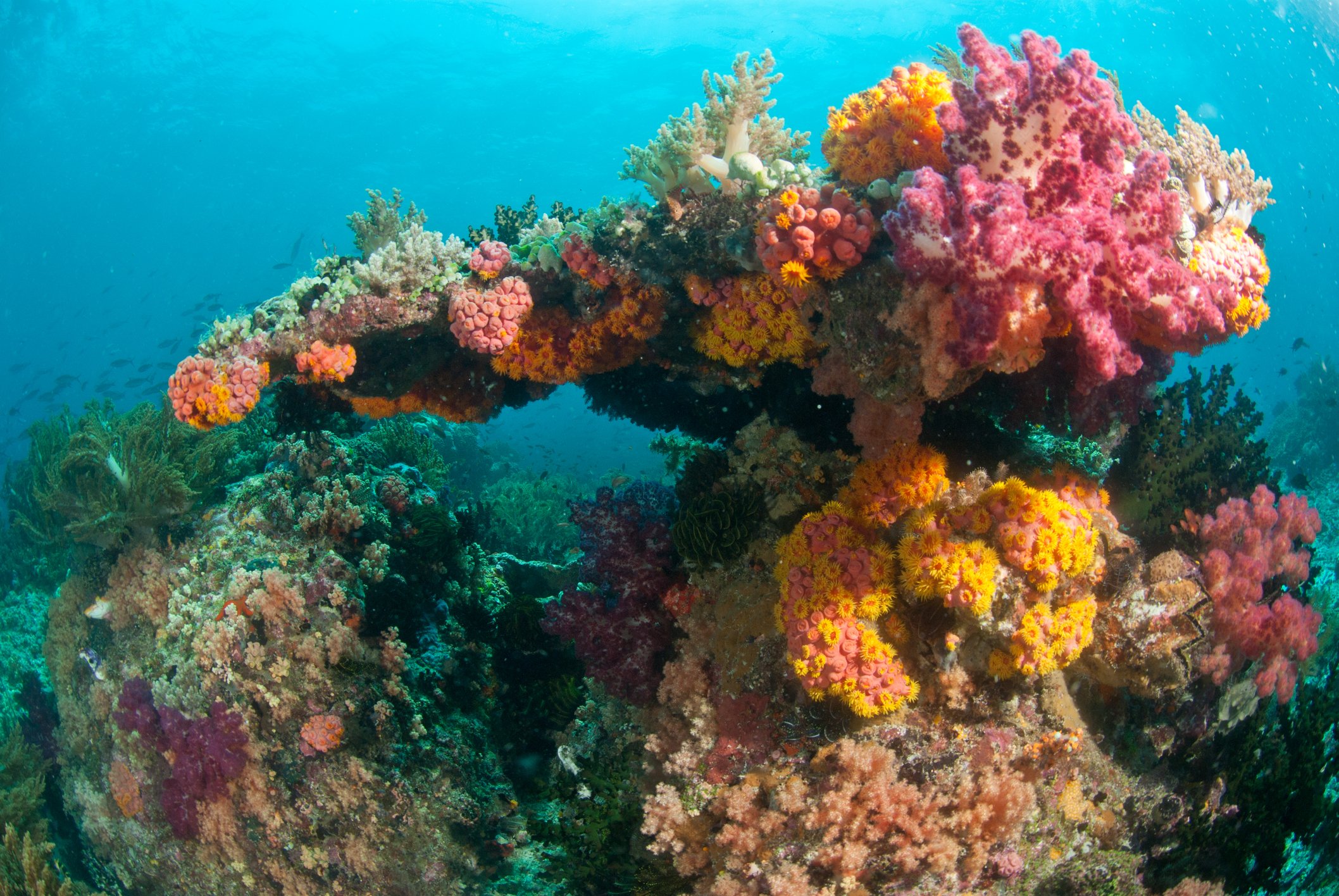 Cruising Southeast Asia: Raja Ampat, Indonesia