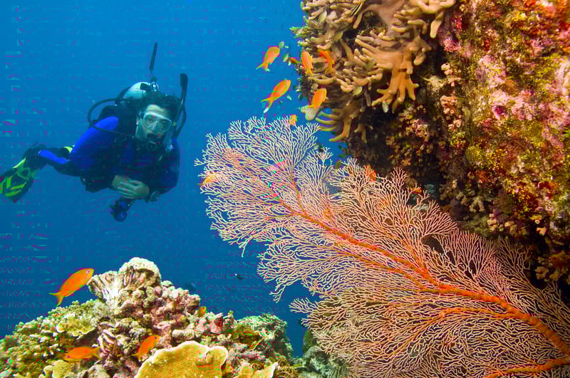 Cruising Australia: The Great Barrier Reef
