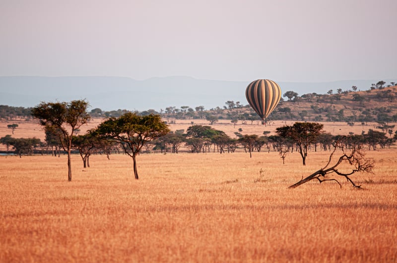 Luxury balloon floating over grass meadow of Serengeti Savanna - African Tanzania Safari trip