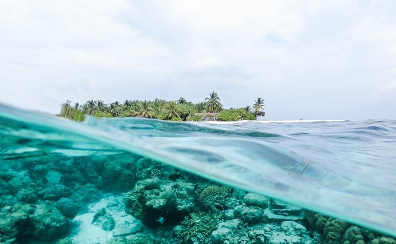 Reef Safe condo ship
