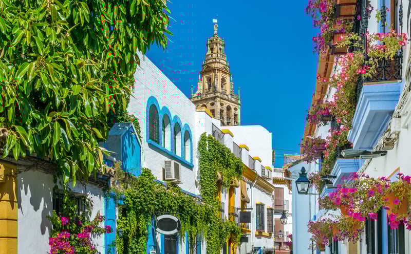Cordoba Mosque Cathedral
