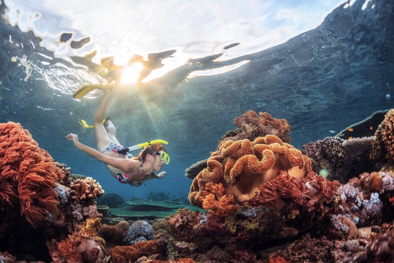 Snorkeling with reefs