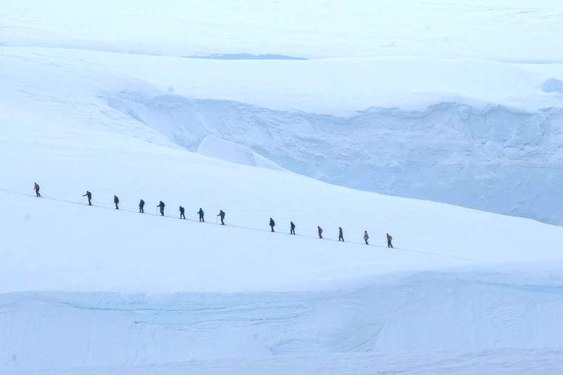Trek