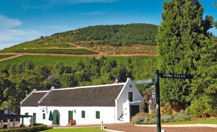 Wine route in a wine festival venue.