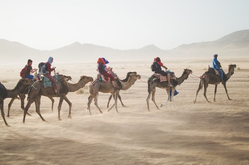 Family on camel tour in the desert to historic sites in the middle east 