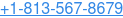 +1-813-567-8679